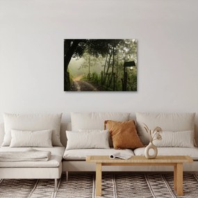 Obraz rannej hmly (70x50 cm)