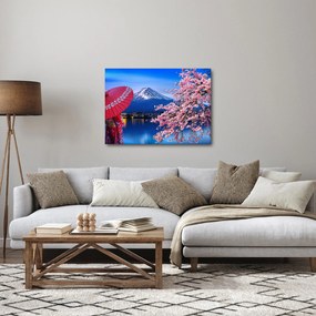 Obraz - Výhľad na vrchol, Japonsko (70x50 cm)