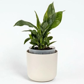 Plastia Samozavlažovací kvetináč Tolita Air krémová, pr. 19 cm, pr. 19 cm