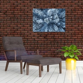 Sklenený obraz - Zasnežený les (70x50 cm)