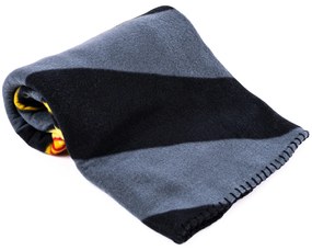 Jerry Fabrics Deka Harry Potter, 100 x 150 cm