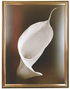 - Calla I | 67.4x87.4