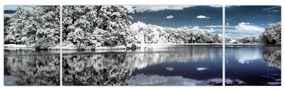 Zimná krajina - obraz