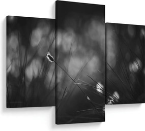 Obraz - Lúčna tráva (90x60 cm)