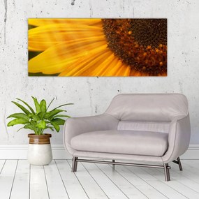 Obraz - Slnečnica (120x50 cm)