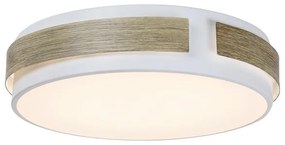 Rabalux 5646 - LED Stmievateľné stropné svietidlo SALMA LED/24W/230V