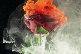 Obraz ruža s abstraktnými prvkami - 90x60