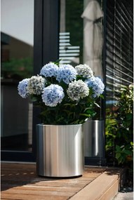 Umelá hortenzia HYDRANGEA v bielom kvetináči, výška 90 cm, modrá