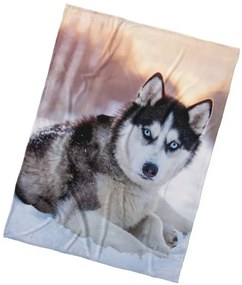 Mikroplyšová deka Pes Sibírsky Husky 150x200 cm