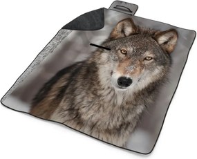 Sablio Plážová deka Vlk 2: 200x140 cm