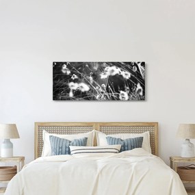 Obraz - Pavučina na lúke (120x50 cm)