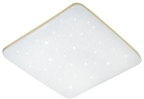LED Stmievateľné stropné svietidlo MANA LED/36W/230V 2700-6500K + diaľkové ovládanie