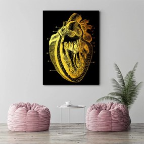 Gario Obraz na plátne Zlatá anatómia, prierez ľudským srdcom - Gab Fernando Rozmery: 40 x 60 cm