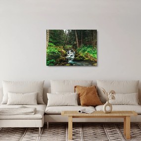 Sklenený obraz potoka v lese (70x50 cm)