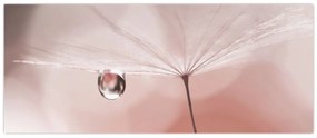 Obraz - Kvapka rosy (120x50 cm)