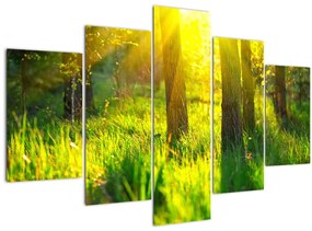 Obraz - Jarné prebúdzanie lesa (150x105 cm)