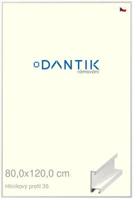 DANTIK rám na obraz 80x120 | ALU Dýha bílá (Plexi Čiré)