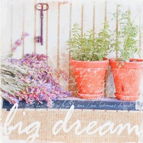 Obraz tlačený na plátne 28x28 PRC905