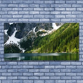 Obraz plexi Jazero les hory príroda 120x60 cm