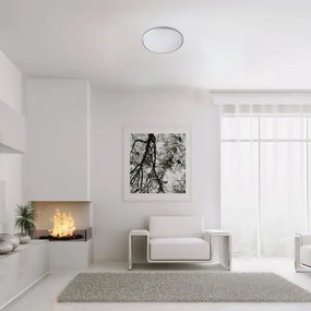 Rabalux 71131 - LED Stropné svietidlo ENGON LED/45W/230V 4000K strieborná 48 cm