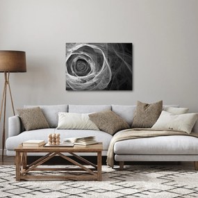 Obraz - Abstraktné ruže čiernobiela (70x50 cm)