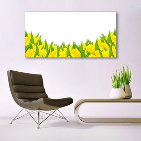 Obraz plexi Kvety príroda tulipány 120x60 cm