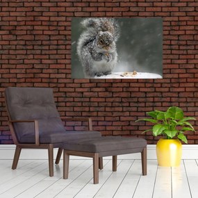 Obraz - Veverička v zime (90x60 cm)