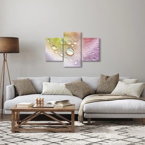 Obraz - Kvapôčky (90x60 cm)