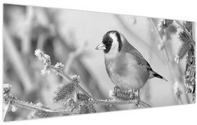 Obraz - Vtáčik v zime (120x50 cm)