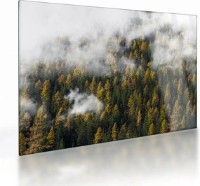 Sklenený obraz lesa v mrakoch (70x50 cm)