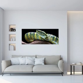 Obraz - Štrkáč Waglerov (120x50 cm)
