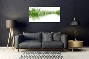 Skleneny obraz Tráva príroda rastlina 100x50 cm