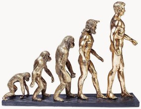 Dekorácia Evolution