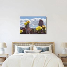 Obraz opuncie (90x60 cm)