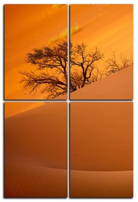 Obraz na plátne - Červené piesočné duny - obdĺžnik 7133E (90x60 cm)