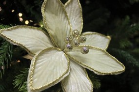 Krémová zamatová vianočná ruža na štipci 18cm