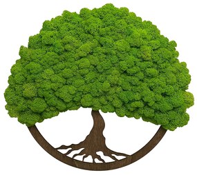 Machový obraz s okrúhlym rámom strom života 40 cm