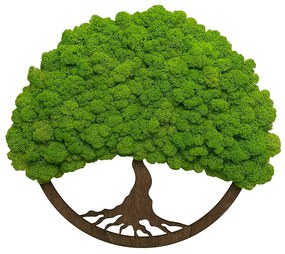 Machový obraz s okrúhlym rámom strom života 40cm