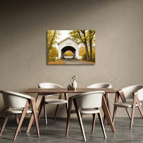 Obraz mosta v Oregone (70x50 cm)