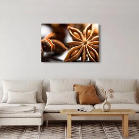 Obraz - Aníz (90x60 cm)