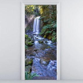 Fototapeta na dvere - Austrálsky dažďový les (95x205cm)