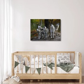 Sklenený obraz - Vlci na skale (70x50 cm)