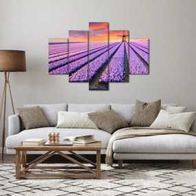 Obraz - kvetinová farma (150x105 cm)