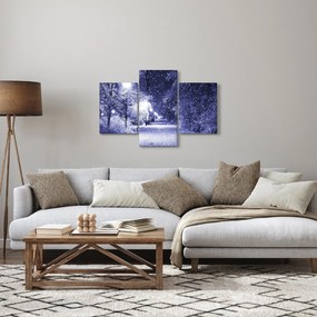 Obraz - Čarovná zimná noc (90x60 cm)