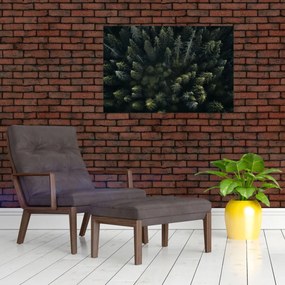 Obraz - Les (90x60 cm)