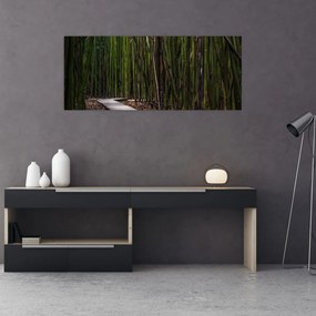 Obraz - Medzi bambusy (120x50 cm)