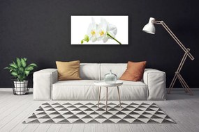 Obraz Canvas Plátky kvet bíla orchidea 140x70 cm