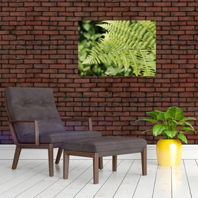 Sklenený obraz - Papradinový list (70x50 cm)