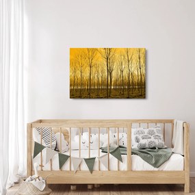 Obraz lesa pri západe slnka (90x60 cm)