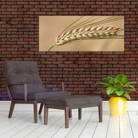 Obraz - Pšenica (120x50 cm)